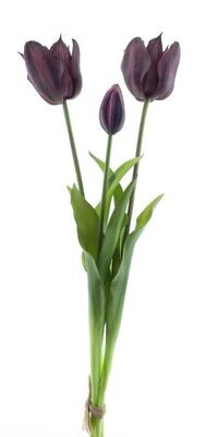 Real Touch Open tulip bundle Sally x3 aubergine 48cm