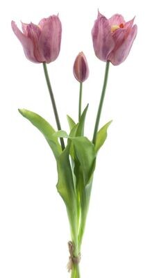 Real Touch Open tulip bundle Sally x3 purple 48cm