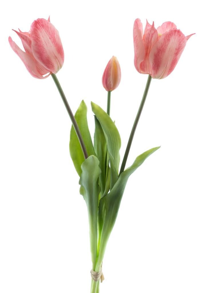 Real Touch Open tulip bundle Sally x3 pink 48cm