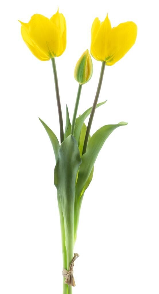 Real Touch Open tulip bundle Sally x3 yellow 48cm