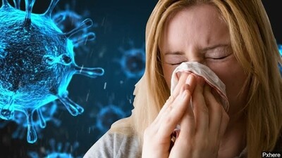 Immunity Boosters
