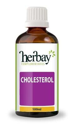 Herbay Cholesterol 100ml