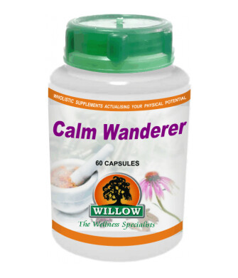 Willow Wellness Calm Wanderer