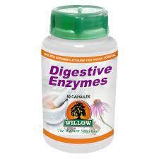 Willow Wellness Digestive Enzymes 100