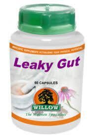 Willow Wellness Leaky Gut
