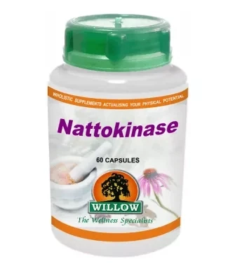 Willow Wellness Nattokinase 60