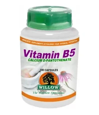 Willow Wellness Vitamin B5 100