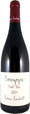 Bourgogne Pinot Noir 2024 (rood) | Antoine Lienhardt