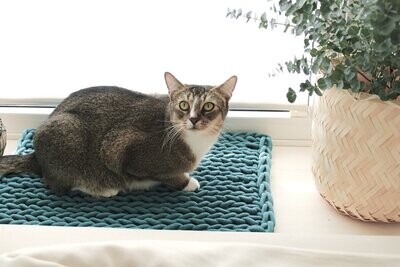 Katzenkorb | Katzenbett | Fensterbankliege | Fensterbankmatte | Fensterbankbett - Längsmuster | Katzenbett Fenster