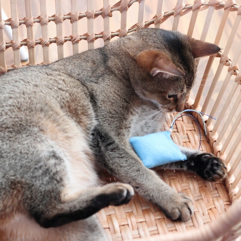 Katzenspielkissen – Katzenminze oder Baldrian & Glöckchen