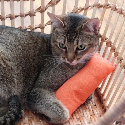 Katzenspielzeug | Stinkekissen | Baldriankissen | Katzenminzkissen Extra robuste große Spielkissen für Katzen