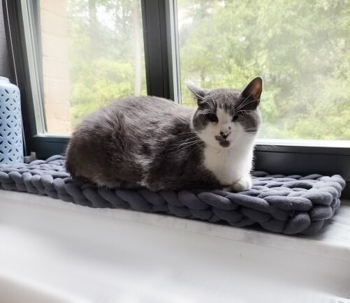 Katzenliege | Katzenbett | Fensterbankliege Fensterbank Katze - Längsmuster | Hundebett