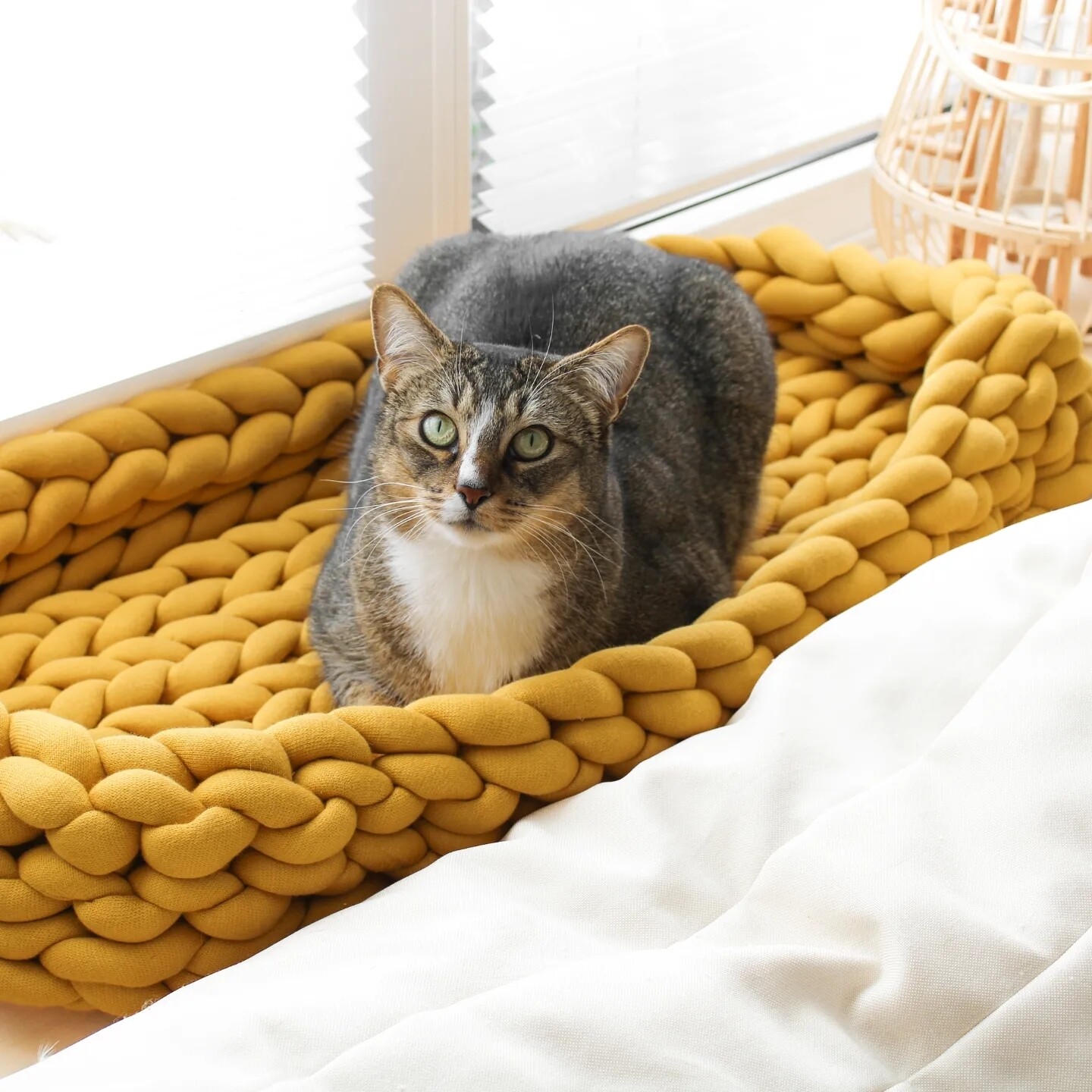 Cat basket dog basket square cat bed dog bed