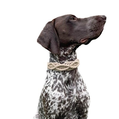 Hundehalsband | Makramee-Hundehalsband - größenverstellbar - Muster: Infinity