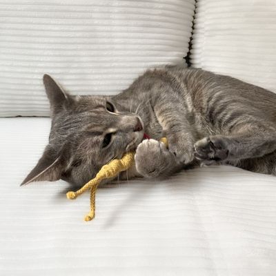 Katzenspielzeug "Nacktschnecke Finchen"