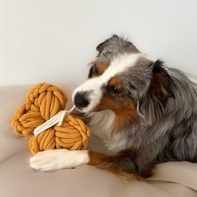 Hundespielzeug - Schmetterling aus dicker gefüllter Baumwolle