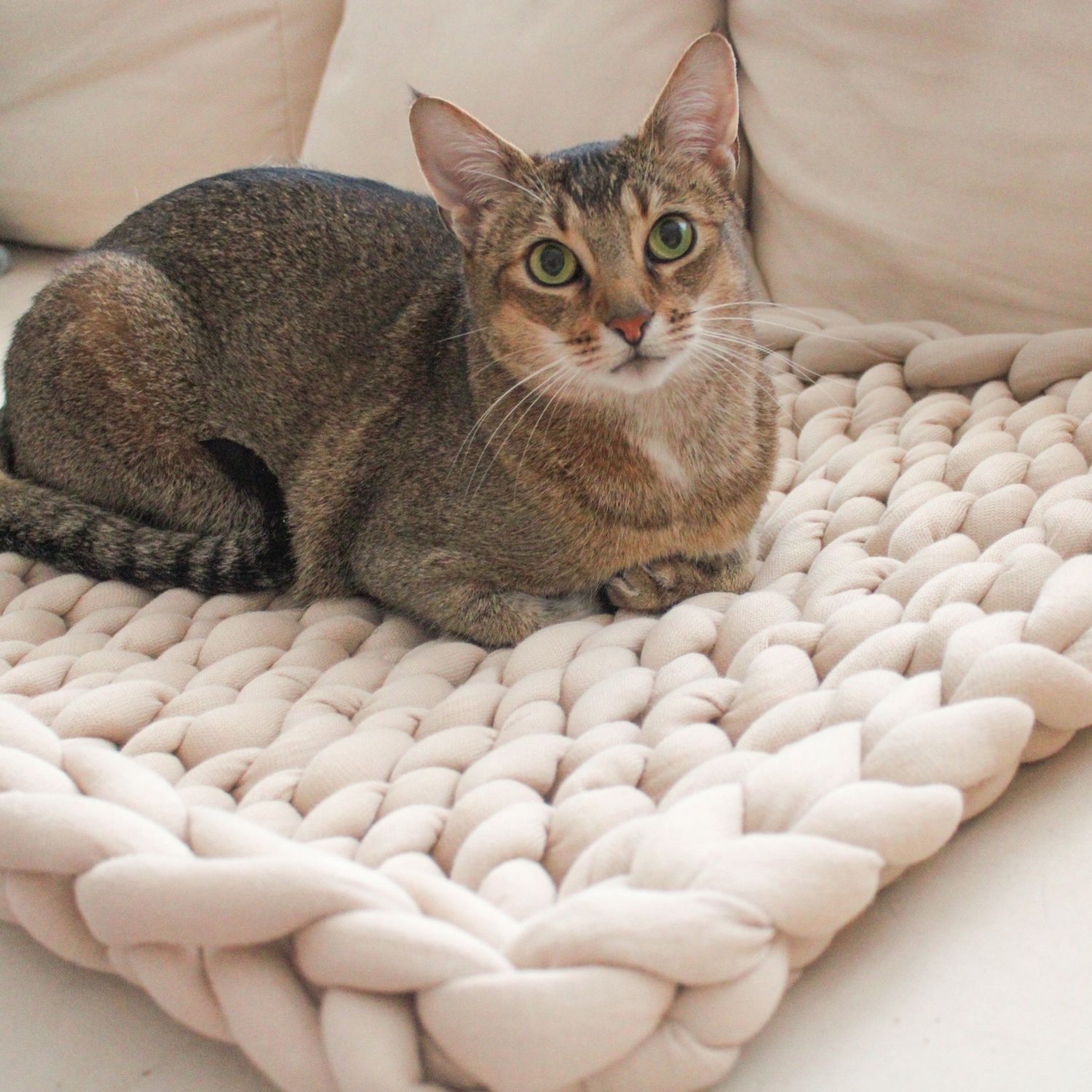 Katzenbett | Grobstrickdecke | Hundebett | Katzendecke