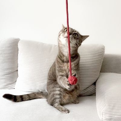 Katzenspielzeug | Katzenangel ohne Stab | Kombi-"Katzenangel" ohne Stab - Wurm an der Leine & Knoten