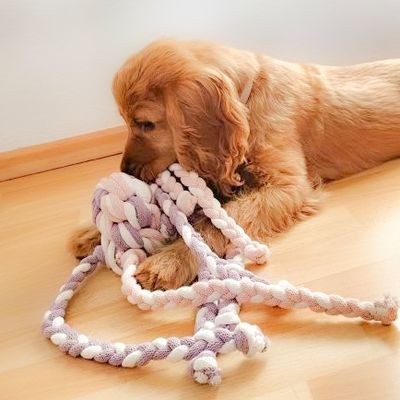 Handgemachtes Hundespielzeug "Oktopus"