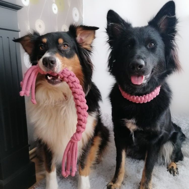 Hundespielzeug - Zergel - Apportierspielzeug - vegan aus Baumwollgarn