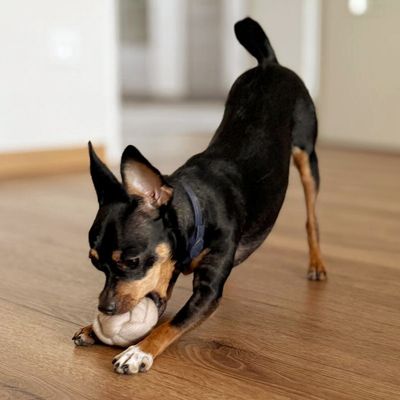 Hundespielzeug - Knotenball in vielen Größen 