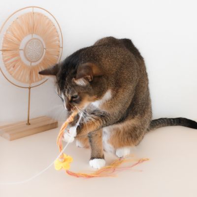 Katzenspielzeug - Katzenangelanhänger Blümchen – für spannende Jagdspiele
