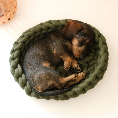 Katzenkorb  Katzenkorb "Oval"- Hundekorb | Katzenkörbchen | Hundekörbchen