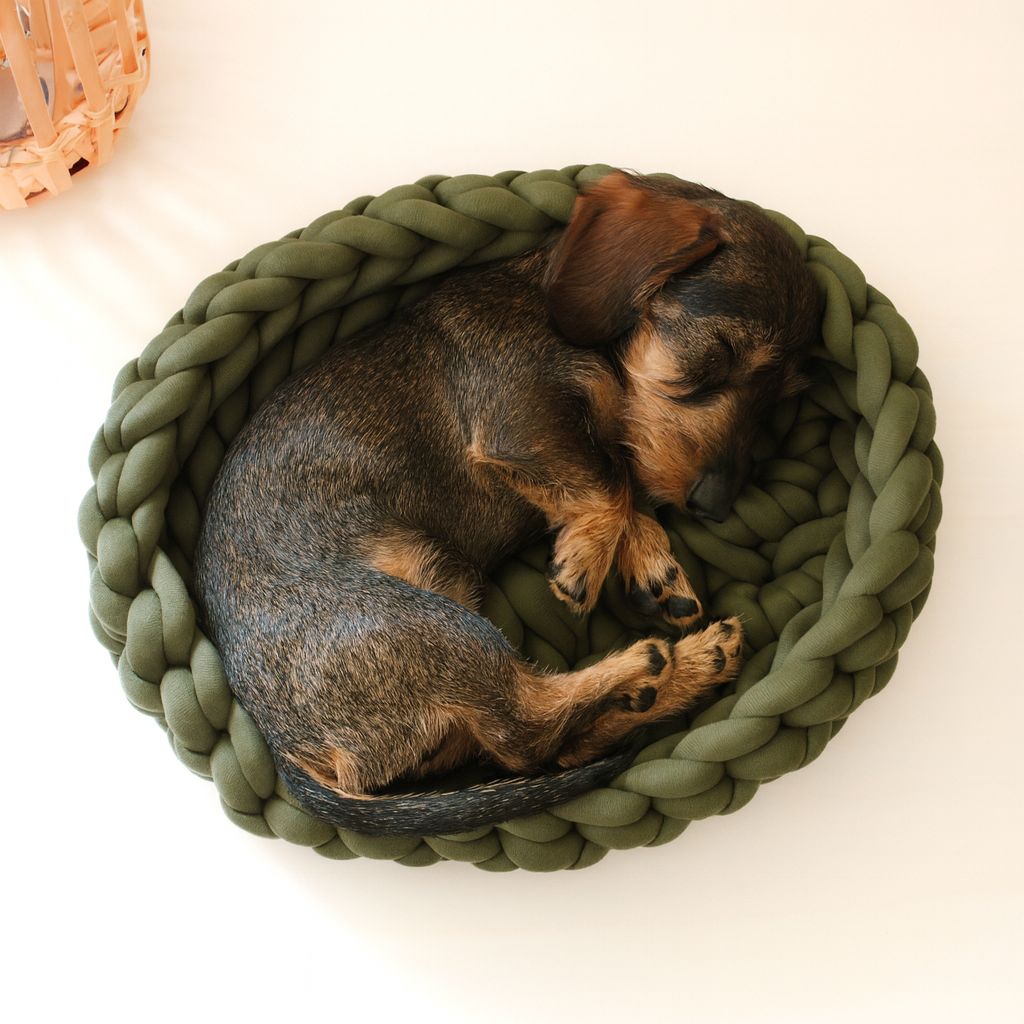 Katzenkorb  Katzenkorb "Oval"- Hundekorb | Katzenkörbchen | Hundekörbchen