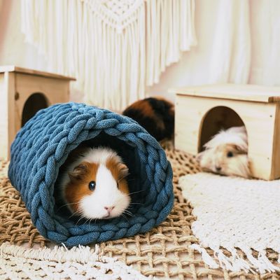Tunnel für Meerschweinchen, Ratten & Chinchillas handgemacht 