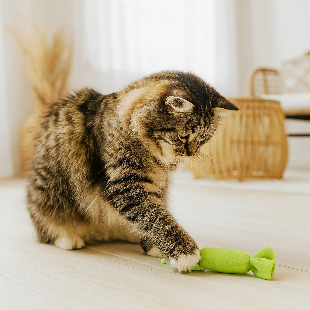 Katzenspielzeug Bonbon Baldrian oder Katzenminze Katzenspielzeug Bonbon Baldrian oder Katzenminze