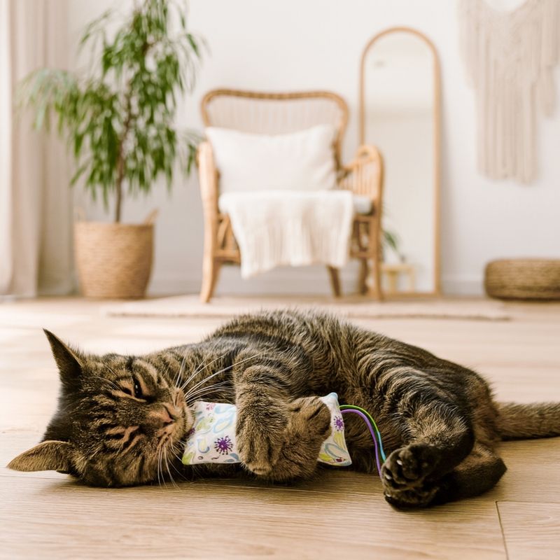 Catnip or Valerian Cat Toy Pillow with Bell & Ribbons Catnip or Valerian Cat Toy Pillow with Bell & Ribbons