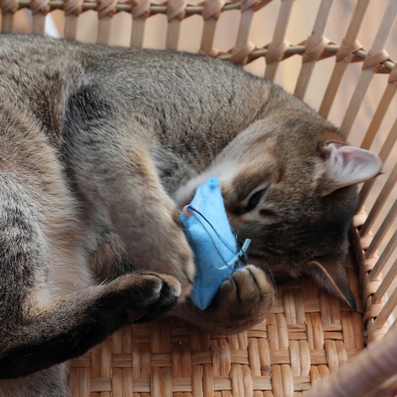 Katzenspielkissen – Katzenminze oder Baldrian & Glöckchen Katzenspielkissen – Katzenminze oder Baldrian & Glöckchen
