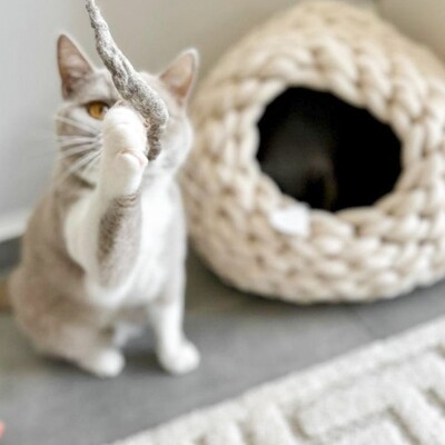 Filzwurm für Katzen – Handgefilzt & nachhaltig