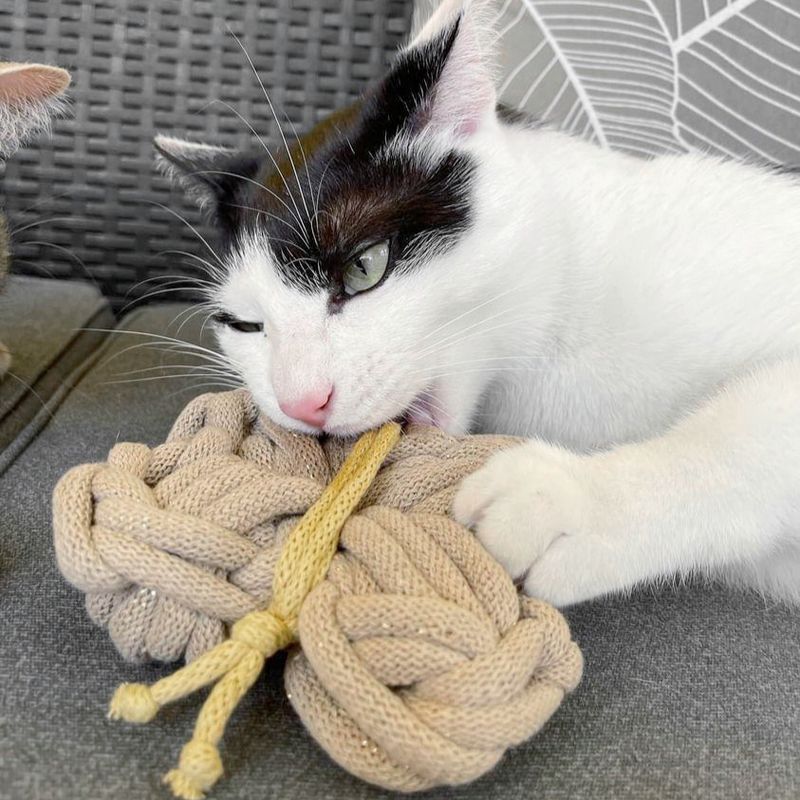 Duft-Schmetterling – Katzenspielzeug handgefertigt & waschbar
