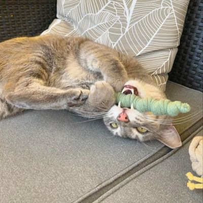 Katzenspielzeug Spielwurm – aus recycelter Baumwolle