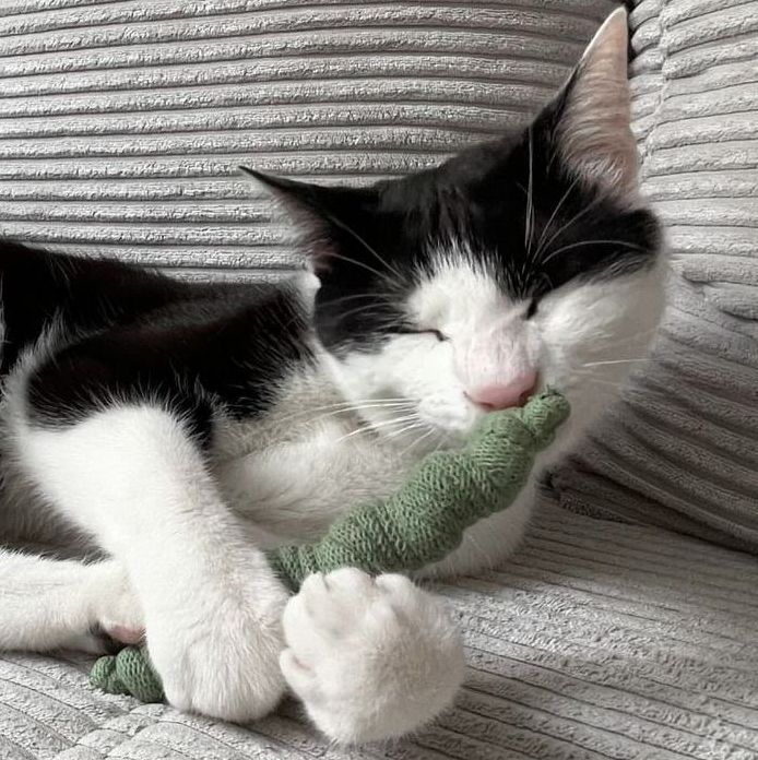 Katzenspielzeug Spielwurm – aus recycelter Baumwolle