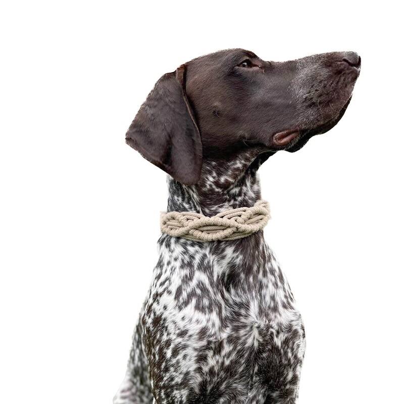 Makramee-Hundehalsband handgemacht – nachhaltig & verstellbar Makramee-Hundehalsband handgemacht – nachhaltig & verstellbar