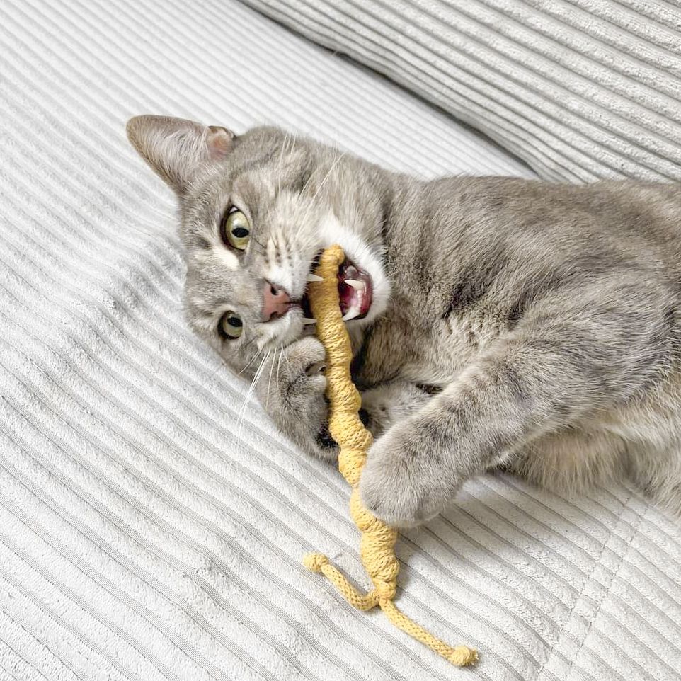 Cat Toy Slug Finchen – Washable & Sustainable