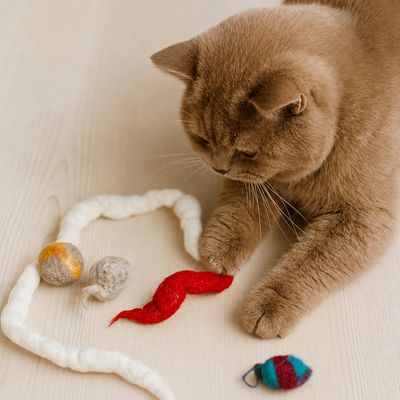 Filzspielzeug-Set für Katzen – 5-teilig, handgefertigt & nachhaltig Filzspielzeug-Set für Katzen – 5-teilig, handgefertigt & nachhaltig