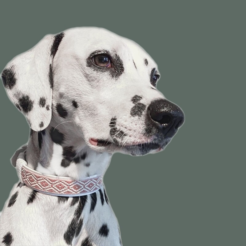 Hundehalsband im Bohostil - Rautenmuster - Ethnostyle