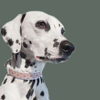 Hundehalsband im Bohostil - Rautenmuster - Ethnostyle