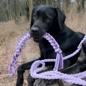Handgemachtes Hundezerrspielzeug| Zergel | Handschlaufe