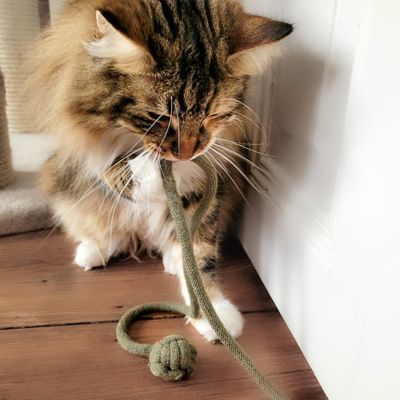 Katzenangel ohne Stab – Wurm & Knotenball handgemacht