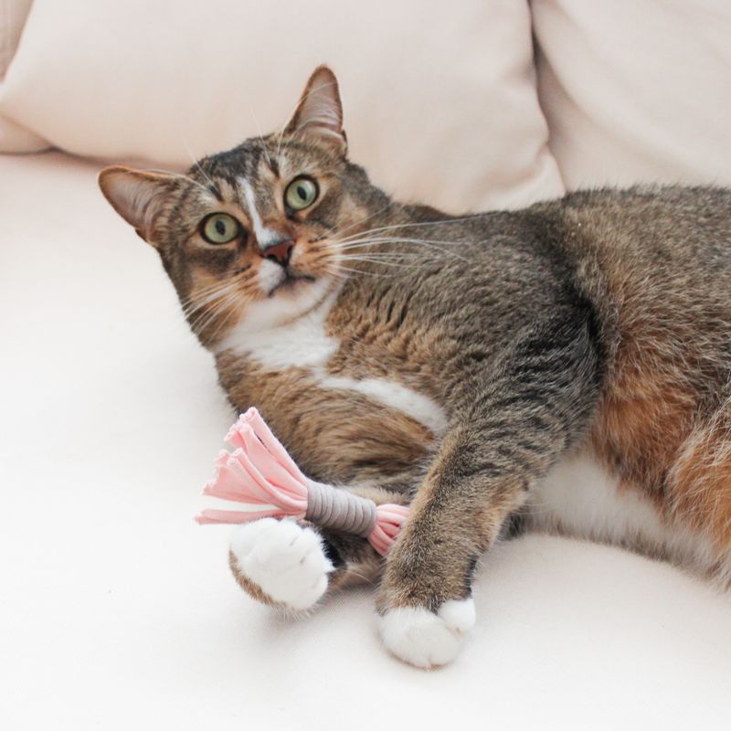 Duftspielzeug für Katzen – Handgemacht & Waschbar