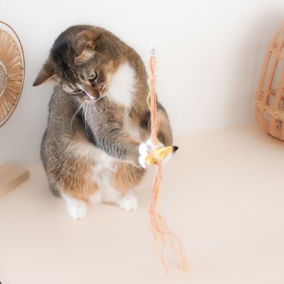 Katzenspielzeug - Katzenangelanhänger Blümchen – für spannende Jagdspiele Katzenspielzeug - Katzenangelanhänger Blümchen – für spannende Jagdspiele