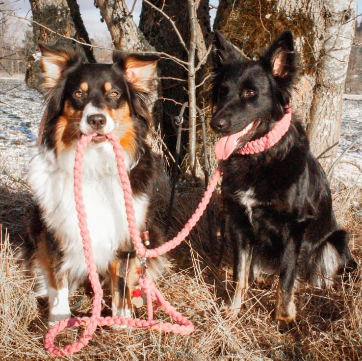 Hundehalsband-Leinenset Makramee