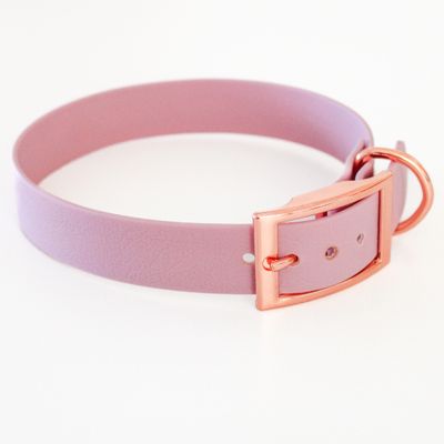 Hundehalsband Basic mit Schnalle verstellbar - 16-30 mm breit