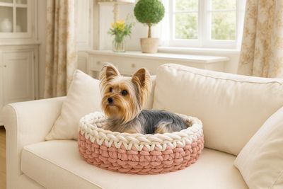 Bicolor Hundekörbchen – nachhaltig & waschbar