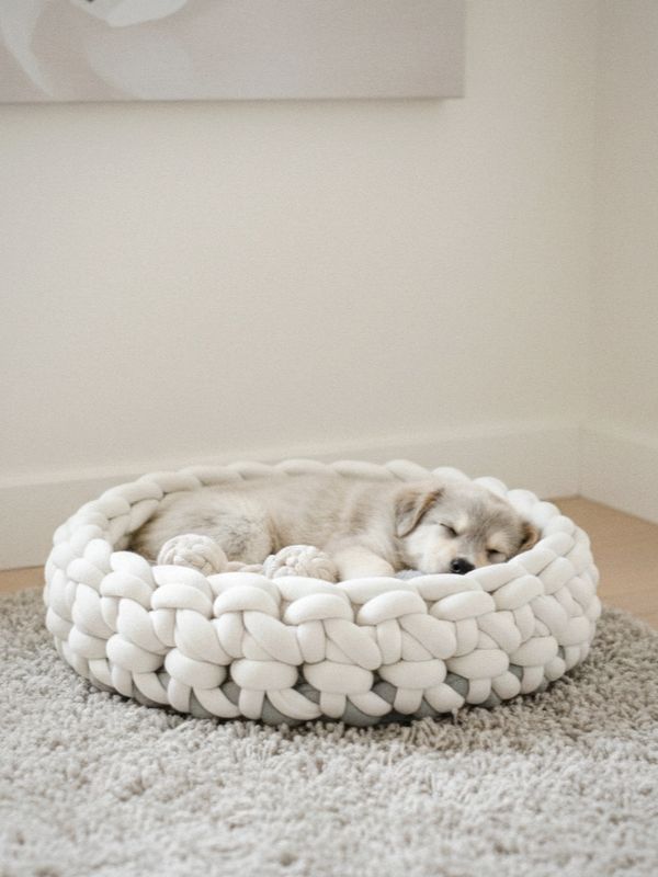 Bicolor Hundekorb Jana – handgemacht