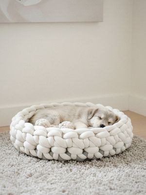 Bicolor Hundekorb Jana – handgemacht